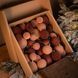 Подарунковий набір "Бархат" Бежевий і Коричневий N1K3UA фото